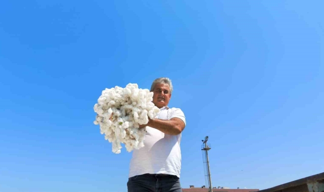Aydın'da 420 kiloluk beyaz altın, kooperatife teslim edildi