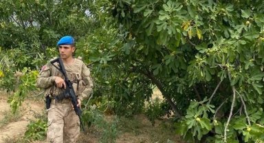 Aydın'da jandarma incir nöbetine başladı