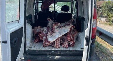 Aydın'da, sağlıksız şartlarda taşınan 300 kilo et yakalandı