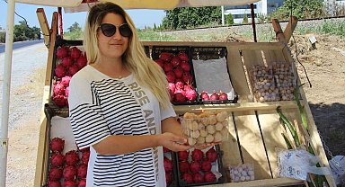 Faydaları saymakla bitmiyor, 250 gramı 50 TL'den satılıyor