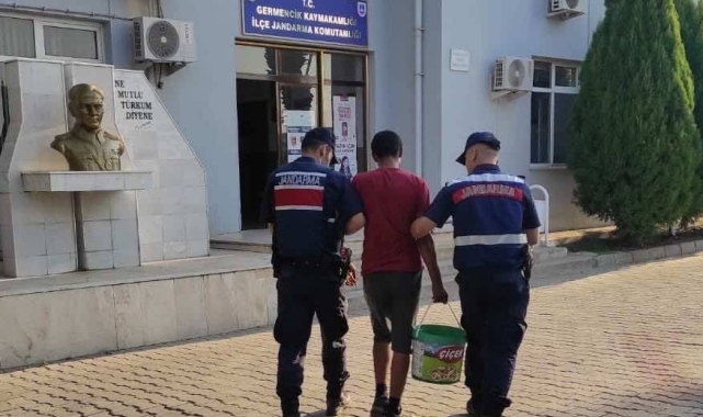 İncir hırsızını Jandarma yakaladı
