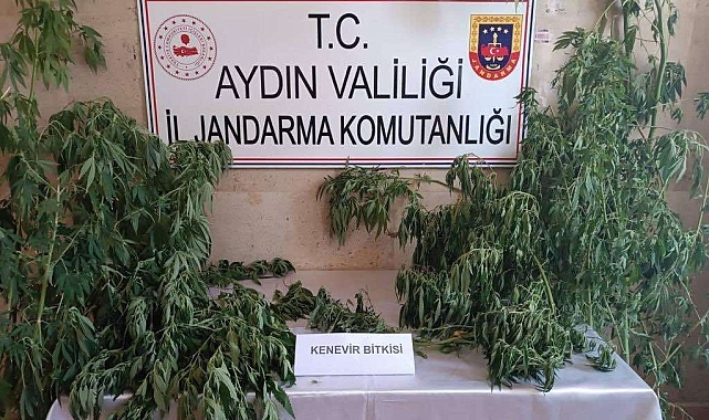 Jandarma uyuşturucu satıcılarına nefes aldırmıyor