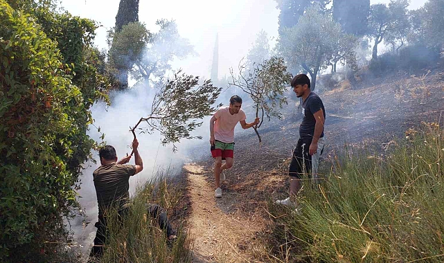 Söke'deki yangın kısmen kontrol altına alındı