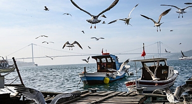 AFAD duyurdu: Bodrum açıklarında deprem