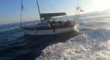 Bodrum'da 43 düzensiz göçmen yakalandı
