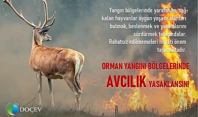 Çevrecilerden 'Yangın bölgelerinde avcılık yasaklansın' talebi