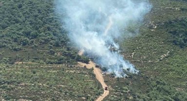 Foça'daki orman yangınına havadan ve karadan müdahale