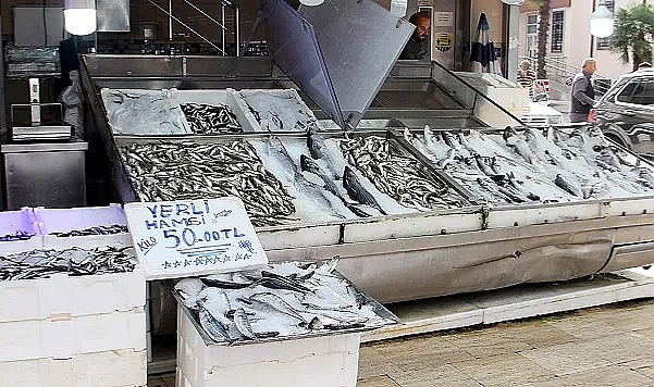 Hamsinin kilosu 50 liraya düştü