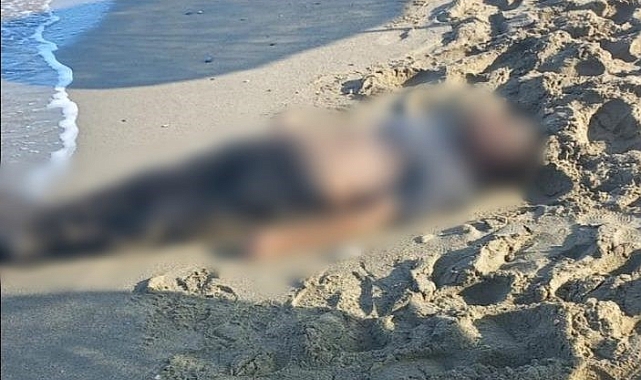 Kuşadası'nda deniz kıyısına vurmuş erkek cesedi bulundu