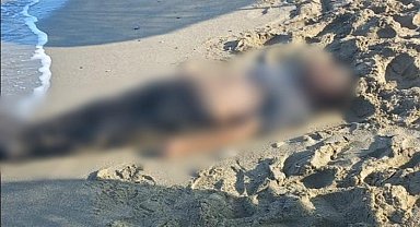 Kuşadası'nda deniz kıyısına vurmuş erkek cesedi bulundu