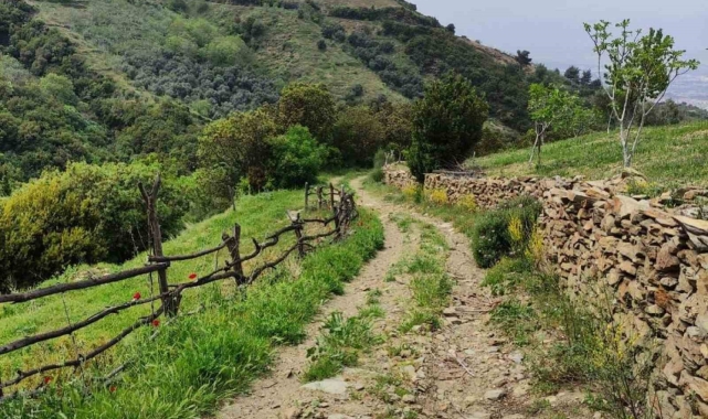 Efeler Yolu, 'En İyi 100 Hikâye' listesinde