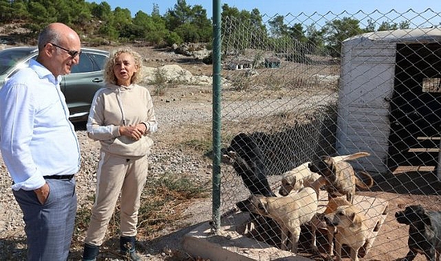 Egeli ihracatçılardan barınak hayvanlarına mama yardımı