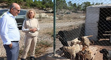 Egeli ihracatçılardan barınak hayvanlarına mama yardımı
