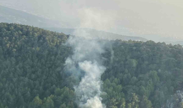 İzmir'de orman yangını: 58 dakikada kontrol altına alındı