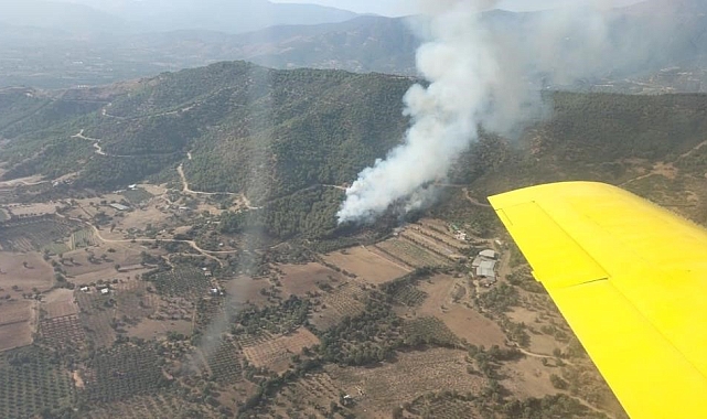 İzmir'de ormanlık alandaki yangın kontrol altında