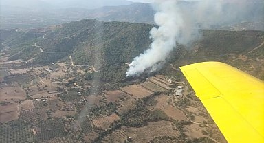 İzmir'de ormanlık alandaki yangın kontrol altında
