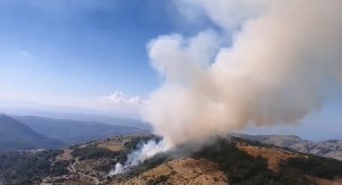 İzmir'deki orman yangını kontrol altında