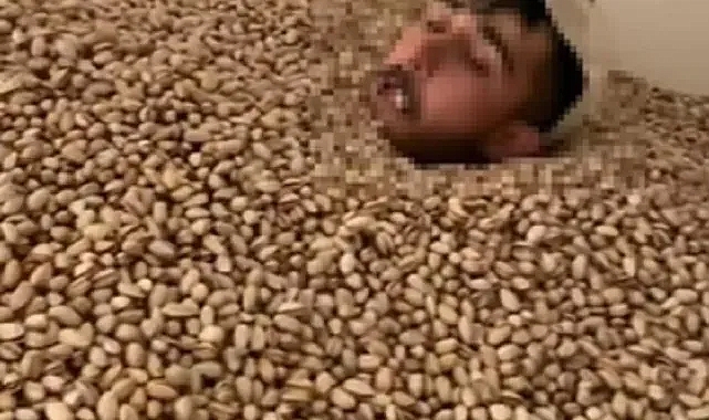 O fıstıklar el konuldu