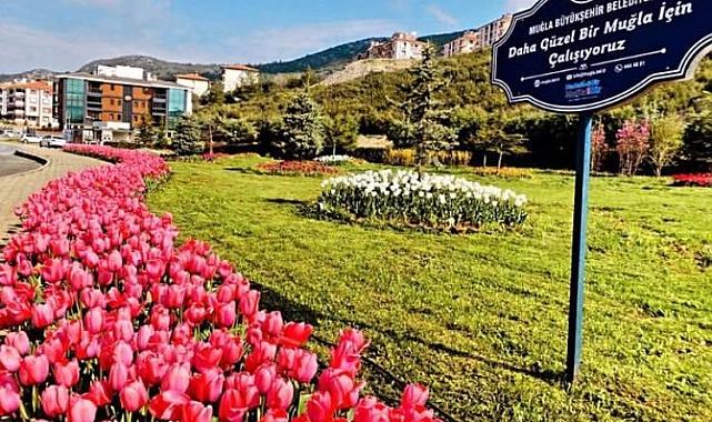 Muğla Büyükşehir yeşil alan miktarını il genelinde yüzde 92 artırdı