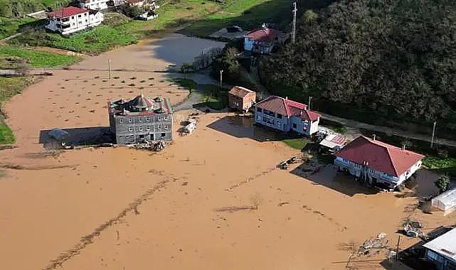 Sakarya Nehri taştı, tarım arazileri sular altında kaldı