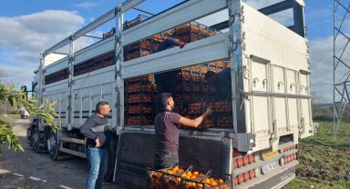 Seferihisar Belediyesinden depremzedelere 15 ton mandalina