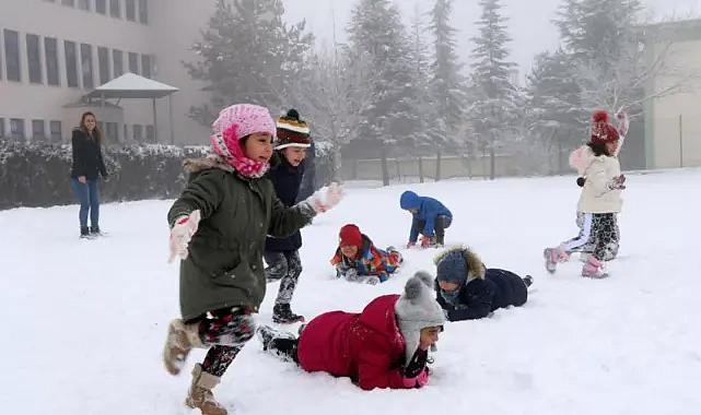 Bitlis'te kar tatili