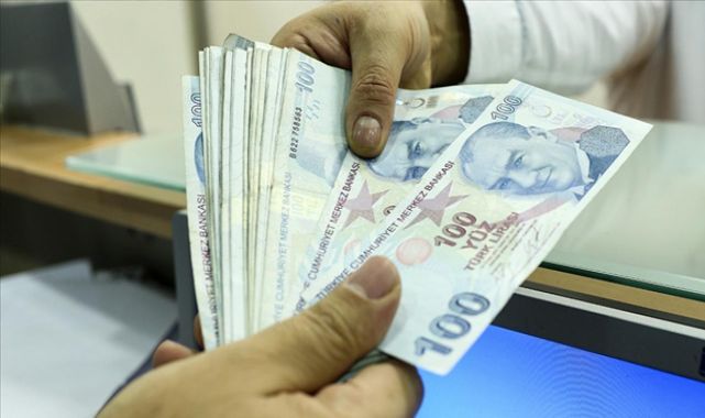 Aile Destek Programı ödemeleri hesaplara yatırılmaya başlandı