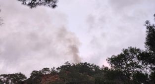 Antalya'da orman yangını çıktı