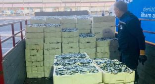 İstanbulda kaçak avlanan 8 ton istavrit ihtiyaç sahiplerine dağıtıldı