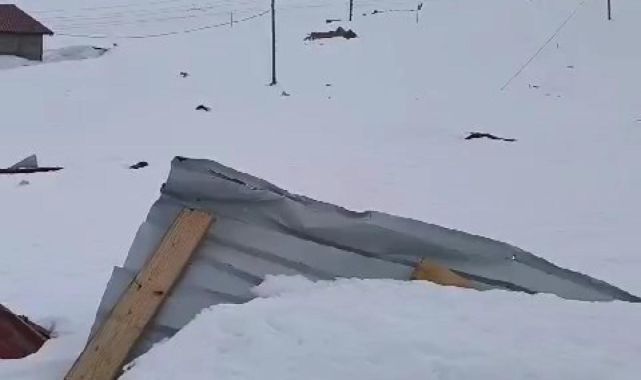Rize'de çığ düştü: 2 ev hasar gördü