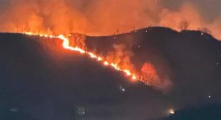 Trabzon'da orman yangını