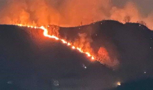 Trabzon'da orman yangını