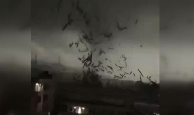 Çin'de hortum ortalığı savaş alanına çevirdi