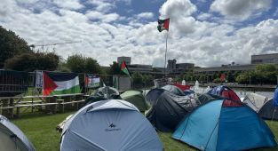 İrlanda'daki öğrencilerin Gazze'ye destek eylemleri devam ediyor