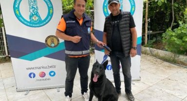 Manisa'da can dostlar yuvalandırılıyor