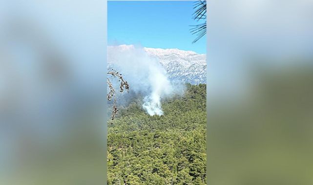 Antalya'da orman yangını: Müdahale sürüyor