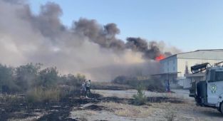 Aydın'da otluk alanda çıkan yangın fabrikaya sıçradı: Müdahale ediliyor