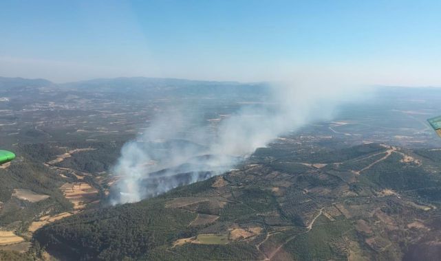 Bergama’da çıkan orman yangını kontrol altında