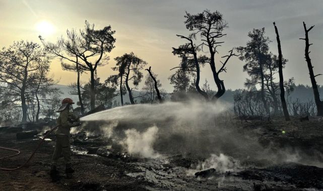 Çanakkale'nin ciğerleri yandı