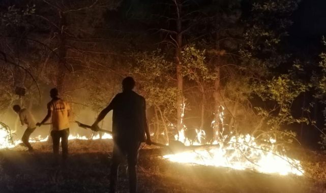 Elazığ'da orman ve mera alanında yangın