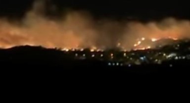 İzmir Dikili'de korkutan yangın