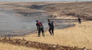 Mardin'in 5 ilçesinde çıkan yangınlar söndürüldü