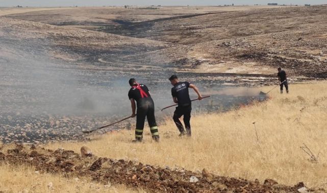 Mardin'in 5 ilçesinde çıkan yangınlar söndürüldü