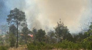 Mersin'de çıkan orman yangınına müdahale ediliyor