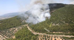 Muğla'da çıkan orman yangınının sebebi sigara izmariti
