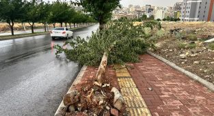 Şanlıurfa'da fırtına ve yağmur etkili oldu