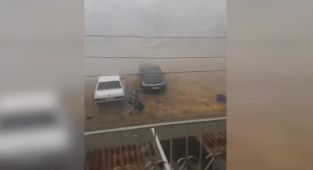Adana'da fırtına ağaçları devirdi