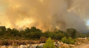 Antalya'da ormanlık alanda yangın