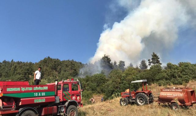 Balıkesir'de çıkan orman yangınına müdahale ediliyor