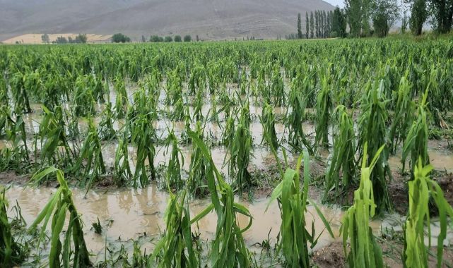 Bayburt'ta dolu ve sağanak: Tarım arazileri zarar gördü